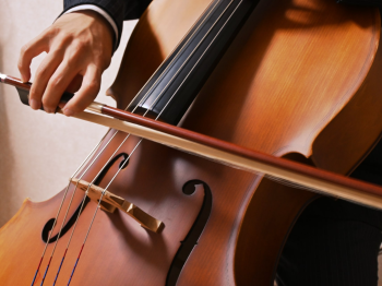 Musette(ミュゼット)