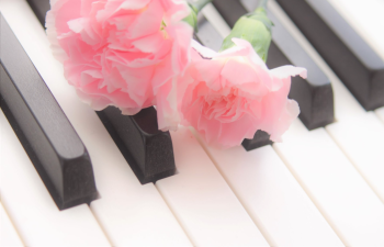 Musette(ミュゼット)