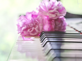 Musette(ミュゼット)